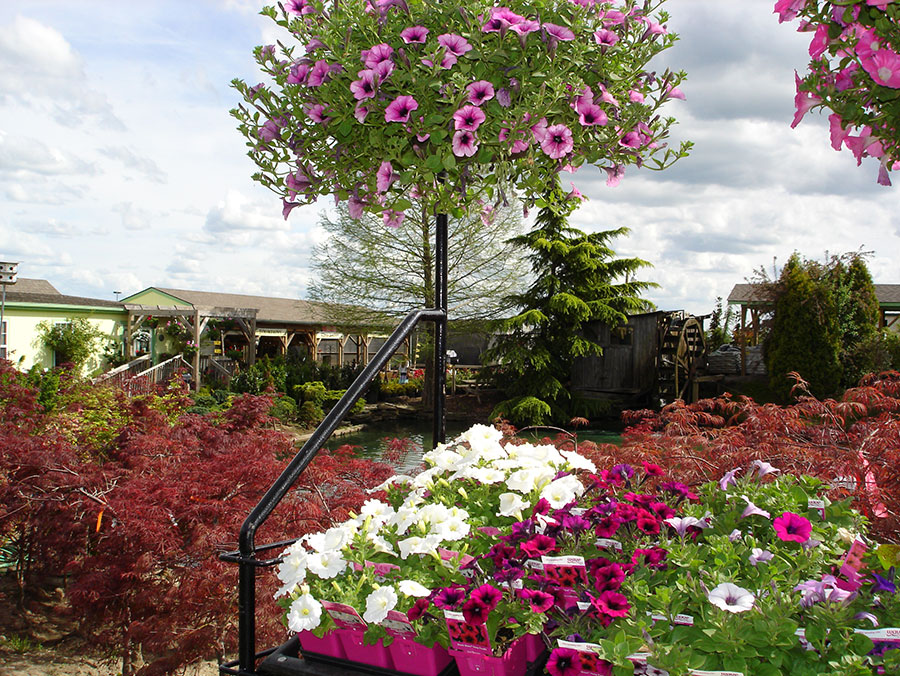 Silver Cliff Landscaping Hours